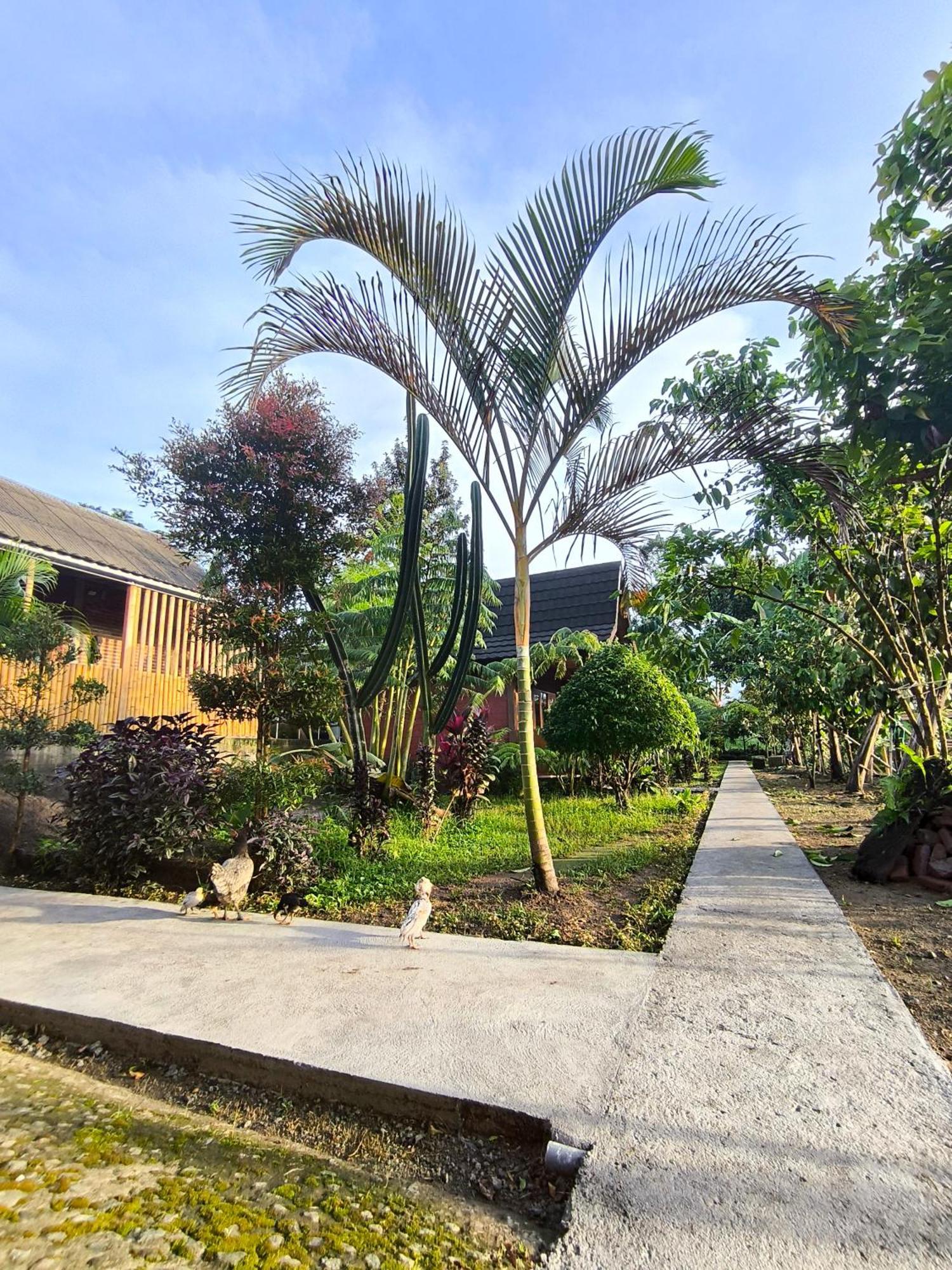Tetebatu Valley Bungalows Esterno foto